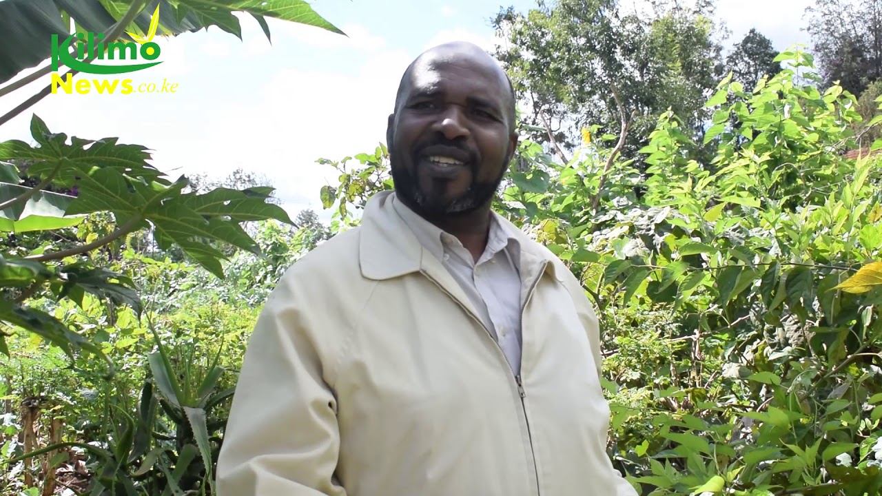 Organic Farming- Part 1