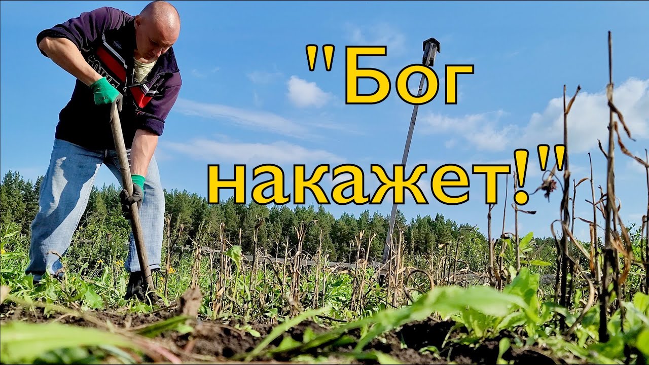 Заимка на Урале | Месть соседям | Царь и Бог в одном лице | 