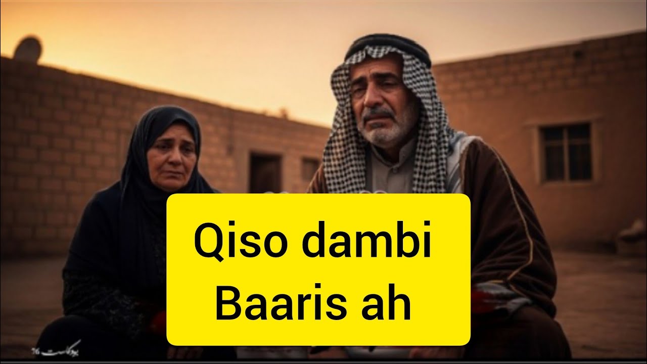 Qiso dambi baaris ah kiiska shaahiin.......@Hafsabilanchannel6337