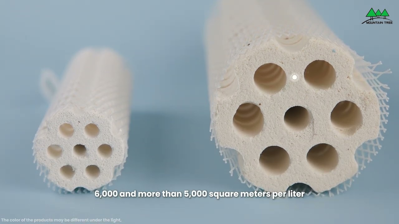 Upgrade Your Biofilter: Lotus Root Bacteria House III Explained