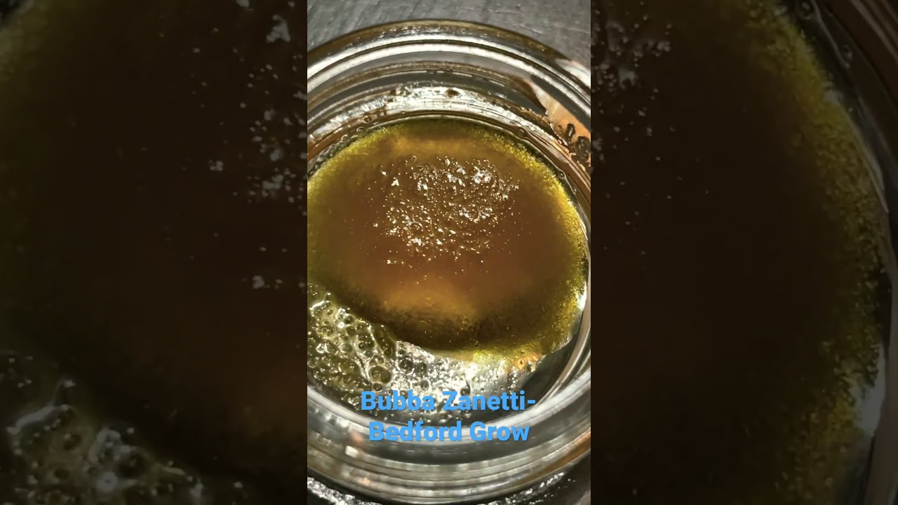 Bubba Zanetti - Bedford Grow