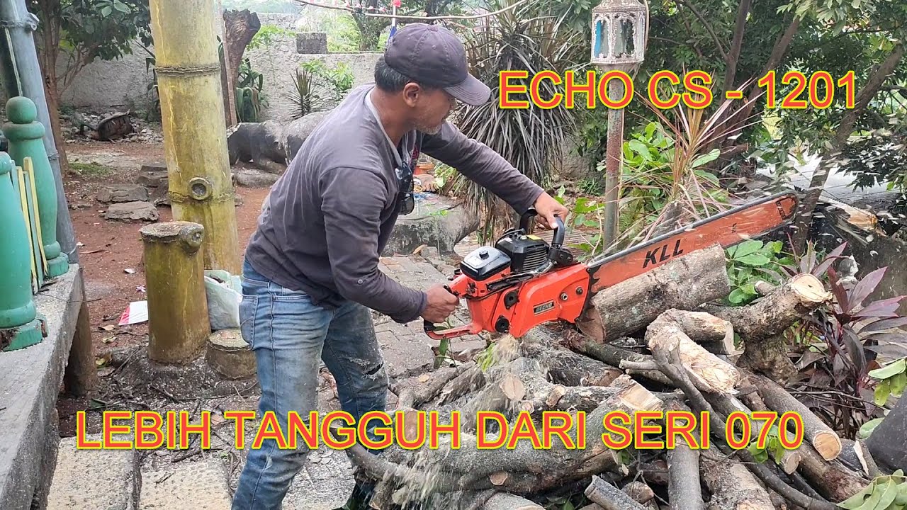 Test ECHO cs 1201 116.3 CC