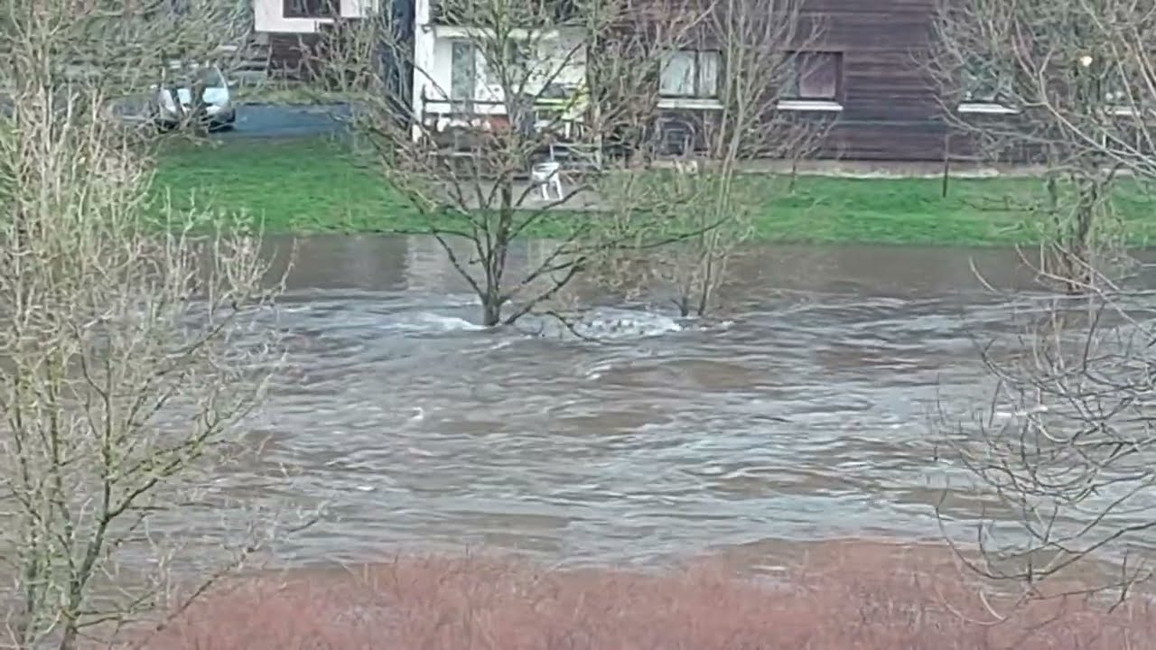 Hochwasser der Sieg in Betzdorf am 13 1 2023