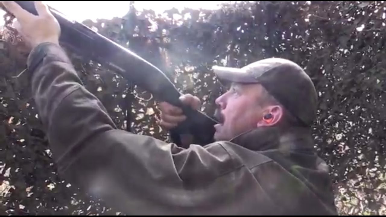 The Shooting Show - pigeon shooting with the Enforcer Pro decoys