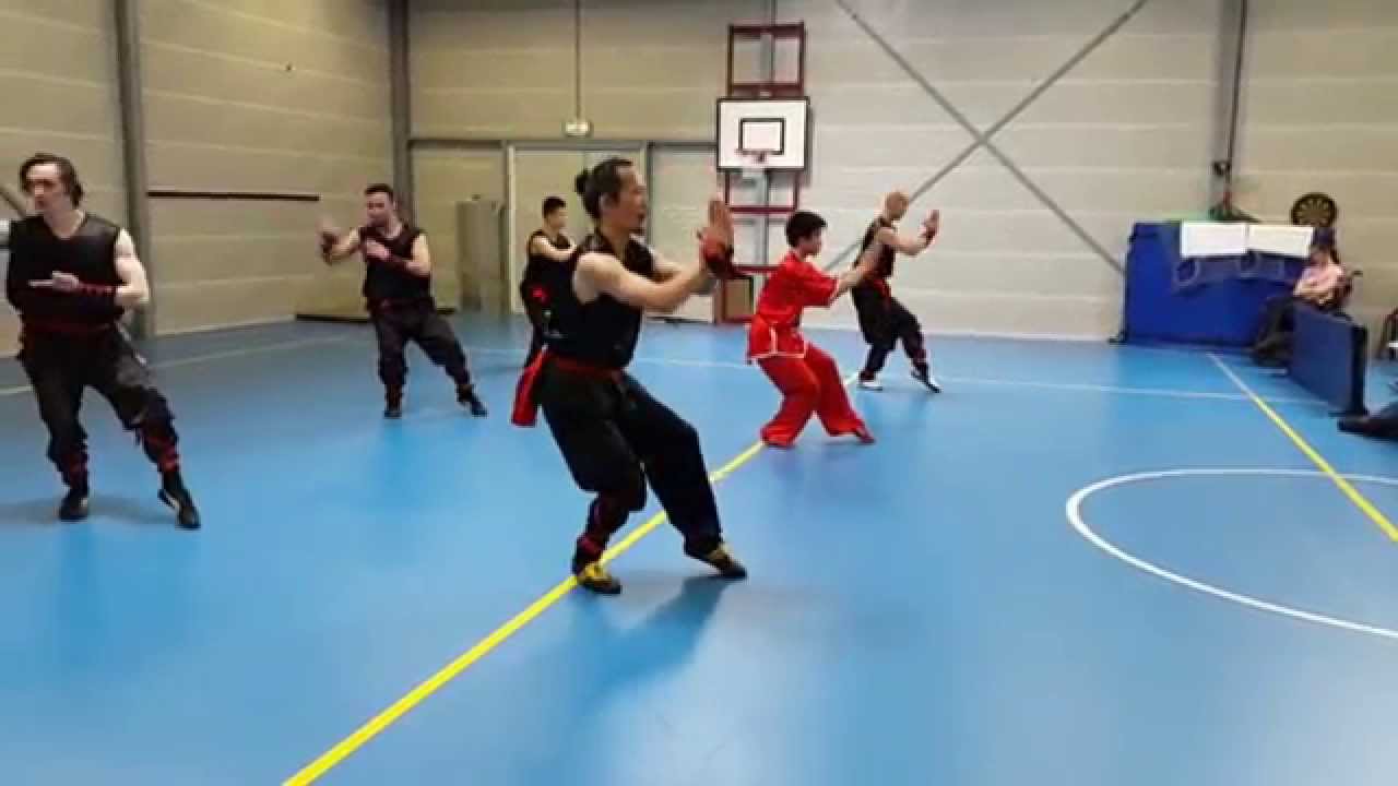 Kung Fu demo for Mytylschool de Brug 26 May 2015