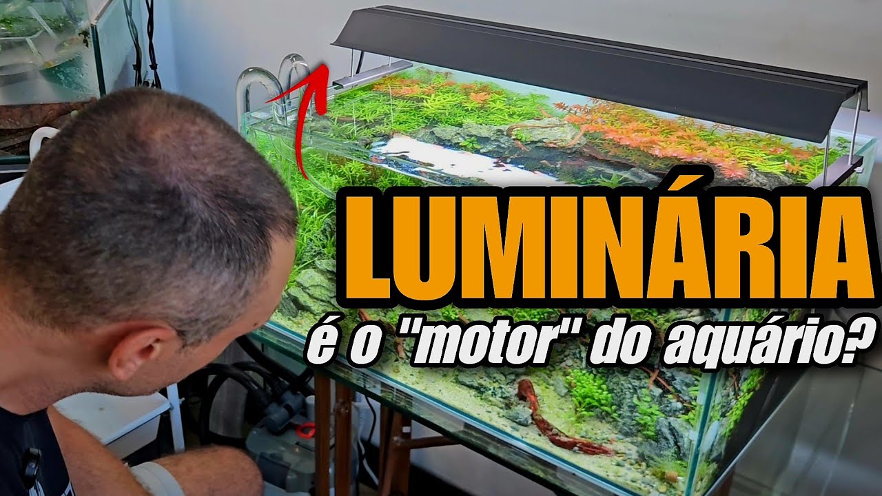 A LUMINÁRIA É O MOTOR DO AQUÁRIO PLANTADO?