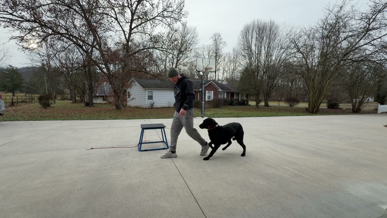 Luna Day 8- Handling drills