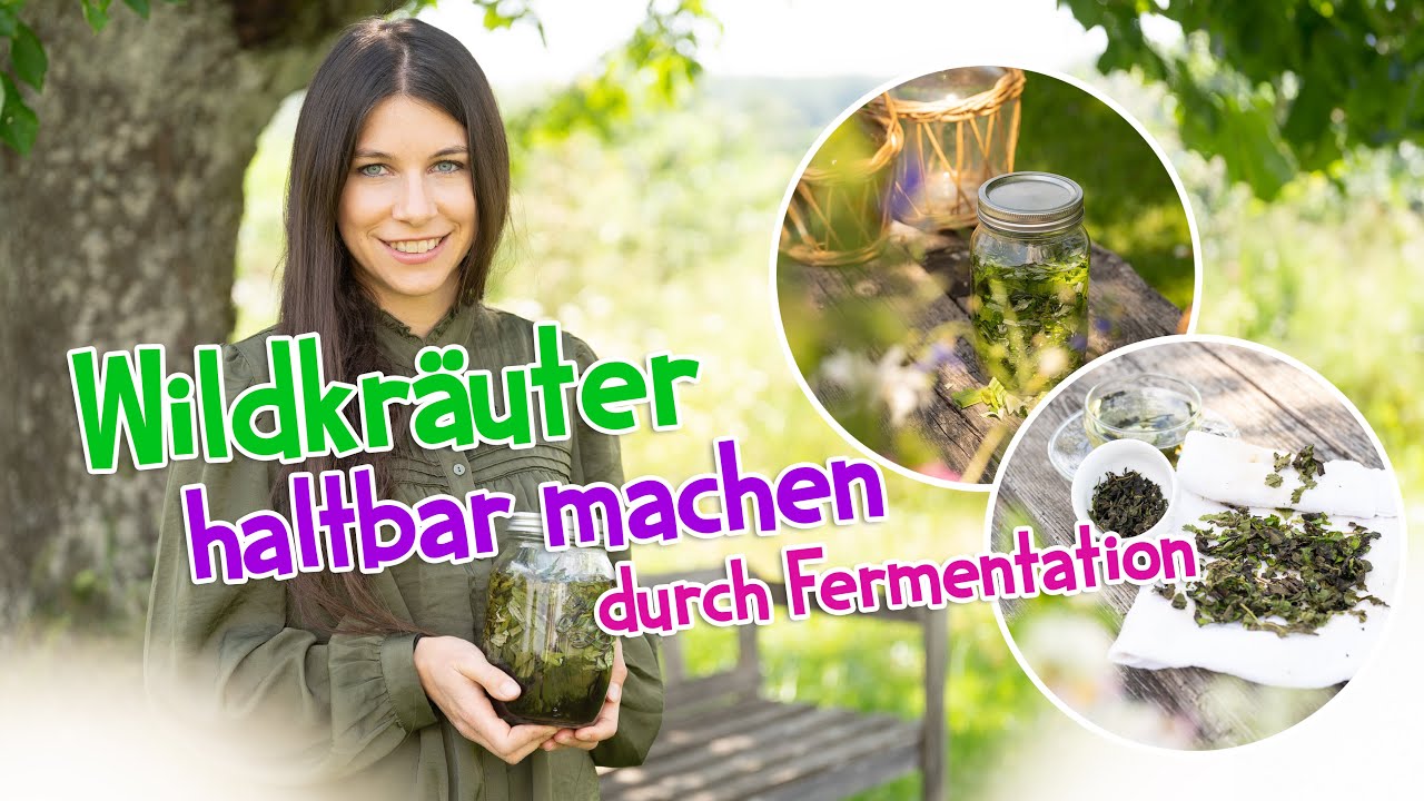 Wildkräuter haltbar machen durch Fermentieren 🌱 #wildkräuter #heilpflanzen #garten #fermentation