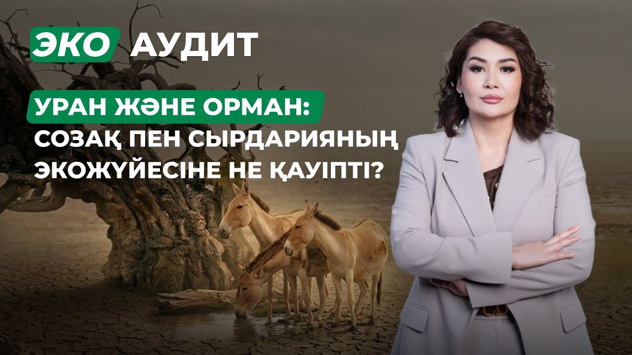 Сырдария өзенінің экожүйесіне қандай қауіп төніп тұр? | Түркістан облысы | ECO Аудит
