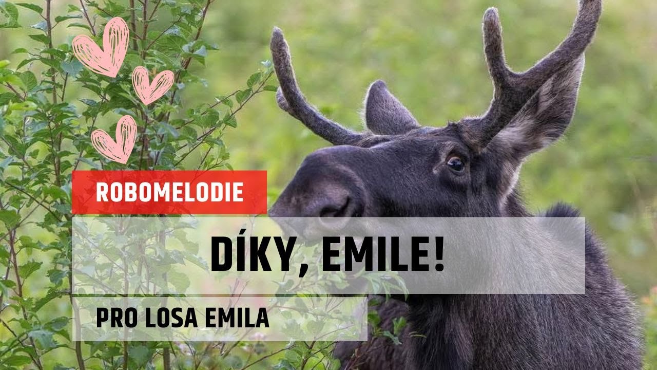 Díky, Emile! | Píseň pro losa Emila
