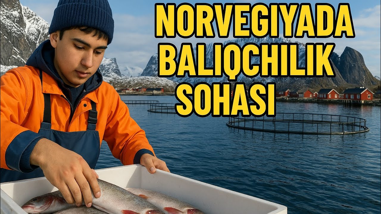 XRIJDA ISH  |  NORVEGIYADA BALIQCHILIK  |  НОРВЕГИЯГА ИШГА БОРИШ  