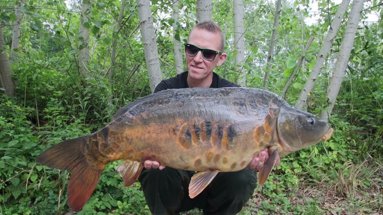 ETANG DES FULLY   L'OBSERVATION