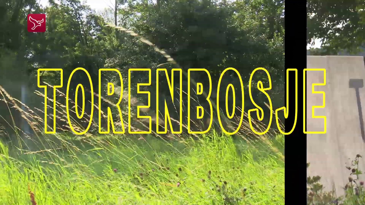 25 Weetjes Dronten - Het geheim van het Torenbosje