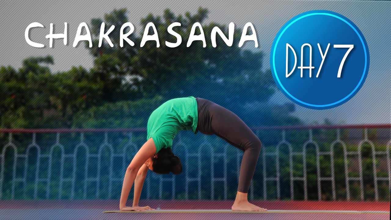 Day 7 of 7 days Chakrasana Practice | Yoga For Beginners