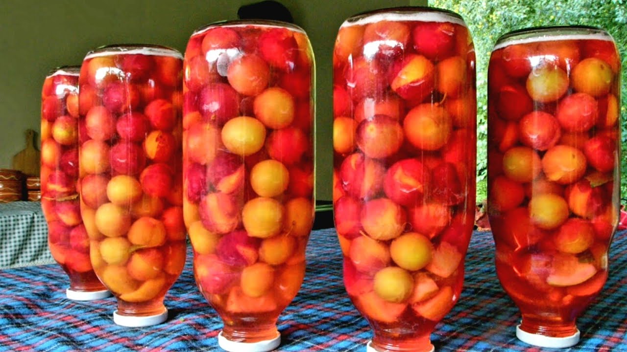 KOMPOT OD RINGLOVA