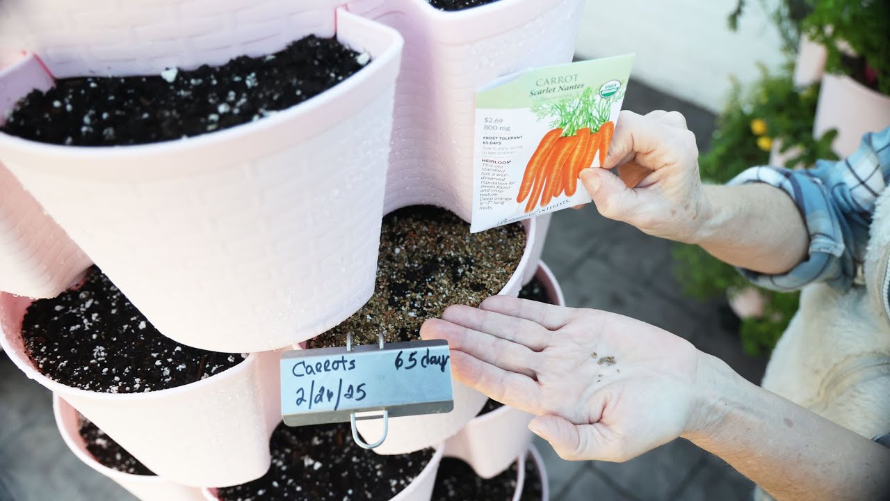 Easiest Way to Plant a GreenStalk - Direct Sowing