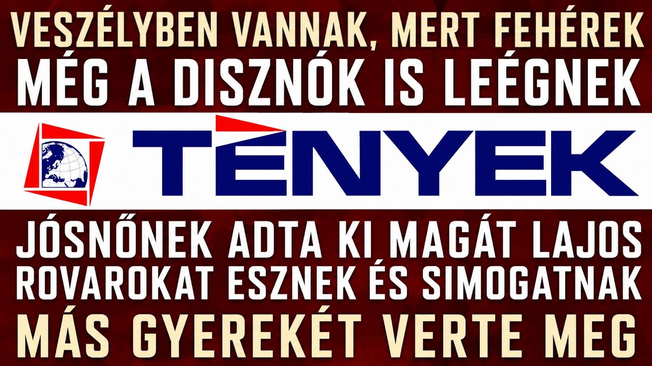 A propagandam&eacute;dia a NER ut&aacute;n: megszűnő T&eacute;nyek, elbocs&aacute;t&aacute;sok, megcsappant hirdet&eacute;sek &eacute;s fizetőfal