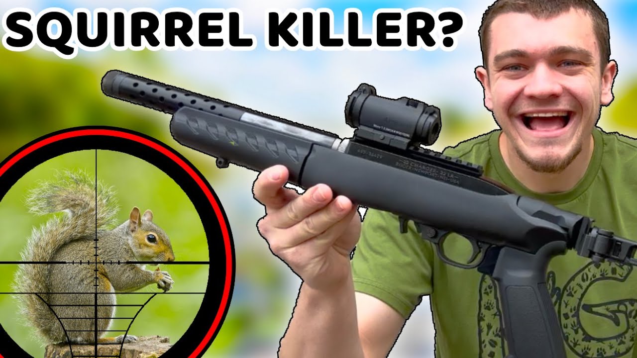 Ultimate Squirrel Hunting Setup? (Scope Cam)