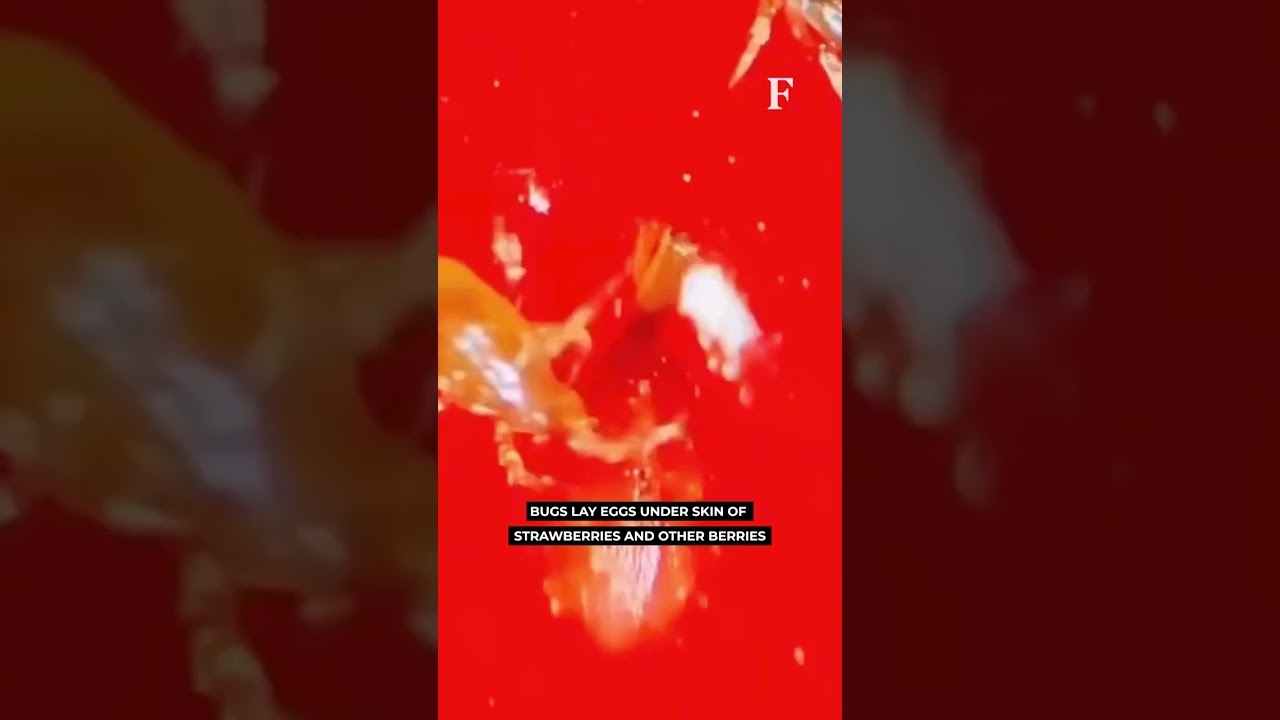 Strawberries Packed With Microscopic Bugs