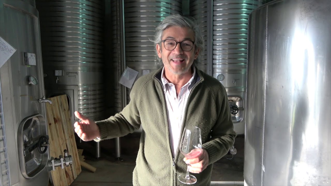 Meet Joao Tavares de Pina and learn about PORTUGUESE WINE from Dao