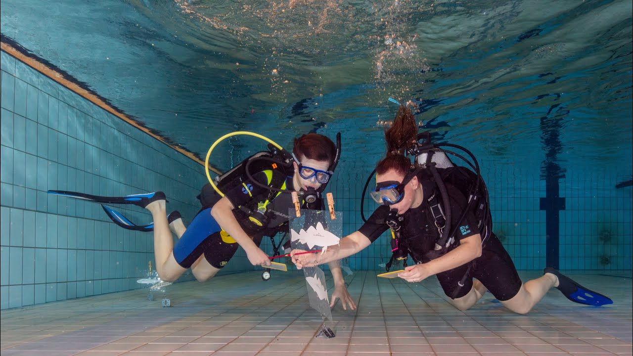 Zwembadtraining visherkenning zoutwater vissen, 12 december 2025