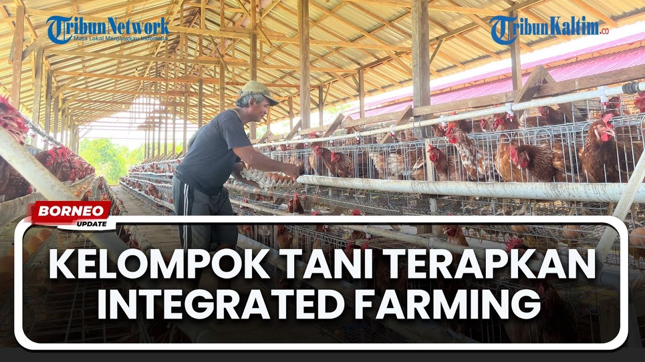 Kelompok Tani Subur Makmur Ujoh Bilang Tuai Pujian Karena Sistem Pertanian Terpadu