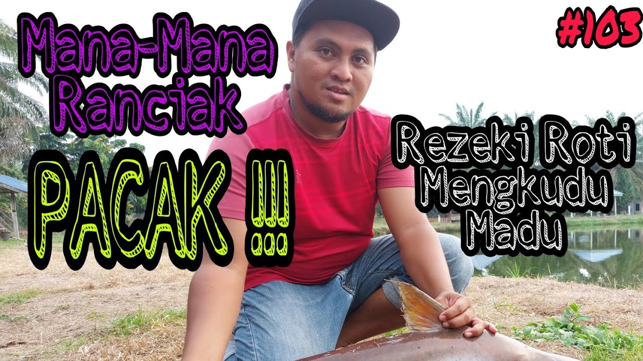 Tokey Tidak Mahu Bayar IKAN || Roti Apong Mengkudu Masam || PACAK