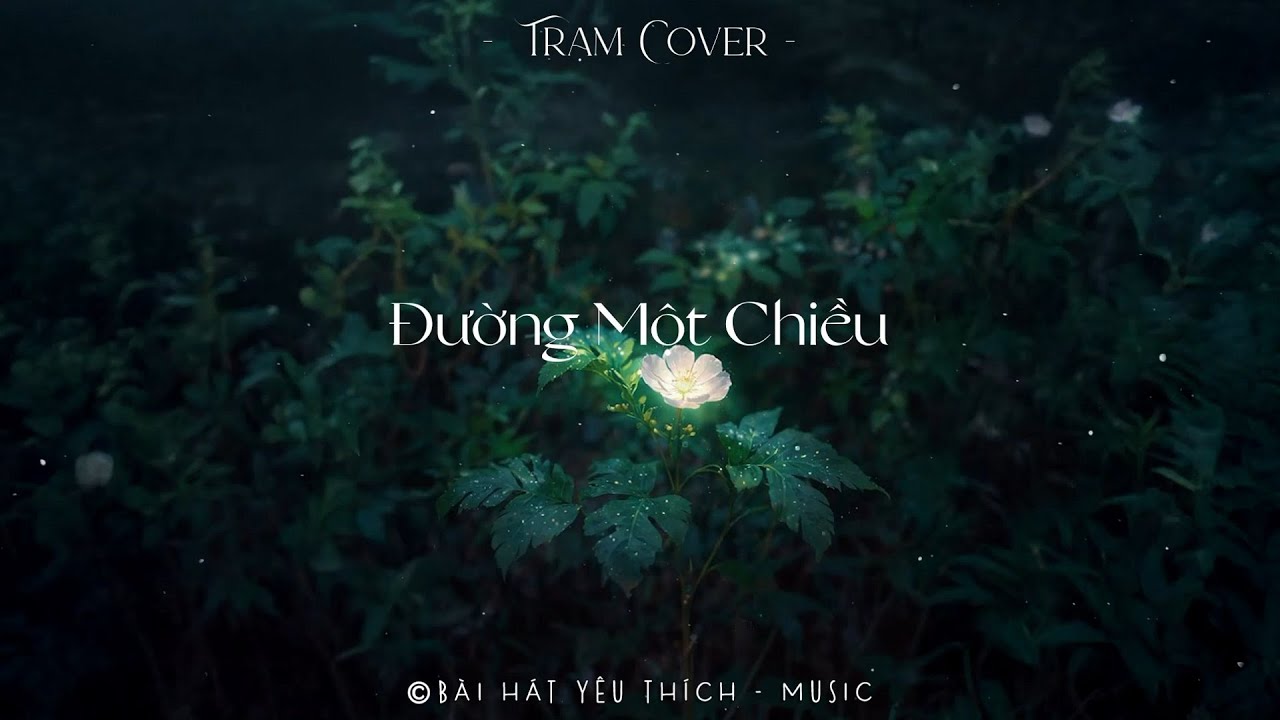 Top 22 Bản Hit Triệu View Acoustic Nhẹ Nhàng Thư Giãn - Đường Một Chiều, Từng Là, Cô Ấy Của Anh Ấy