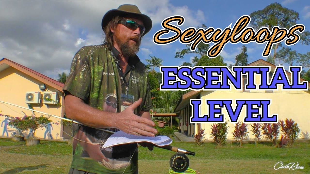 Sexyloops The Essential Level Challenge by Paul Arden