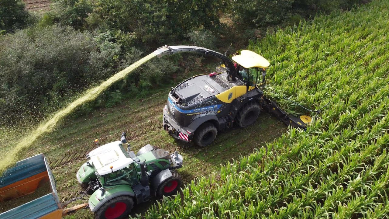 Ensilage de maïs 2025 🌽