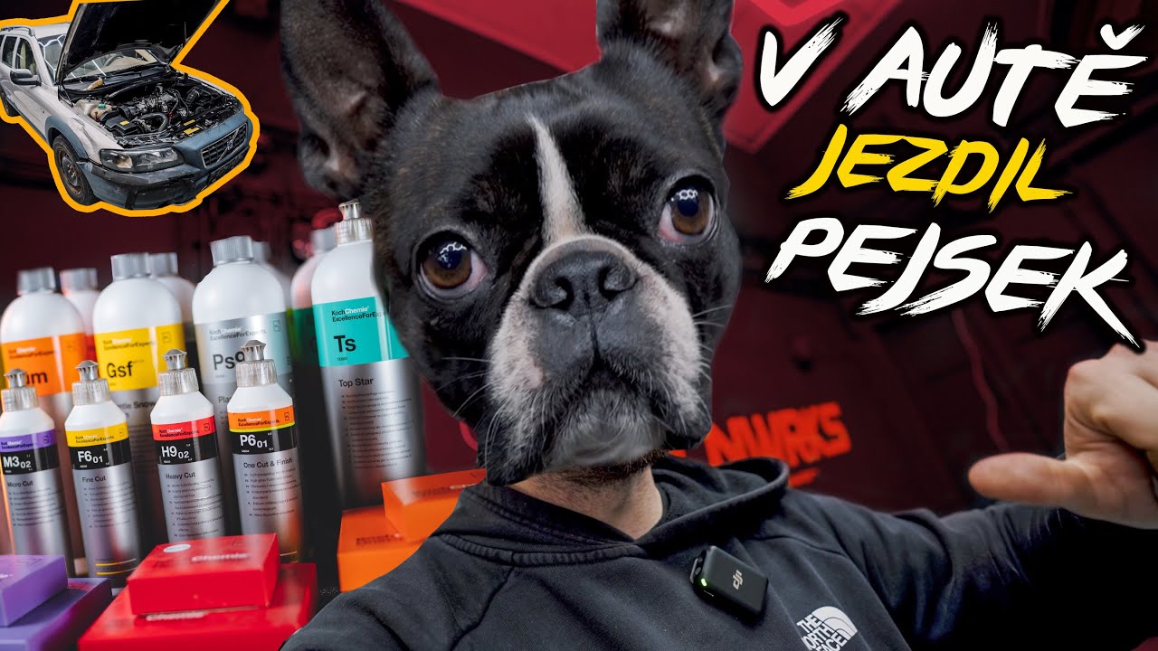 Tam jezdil pejsek! | Čištění interiéru Volva XC70 | Koch Chemie