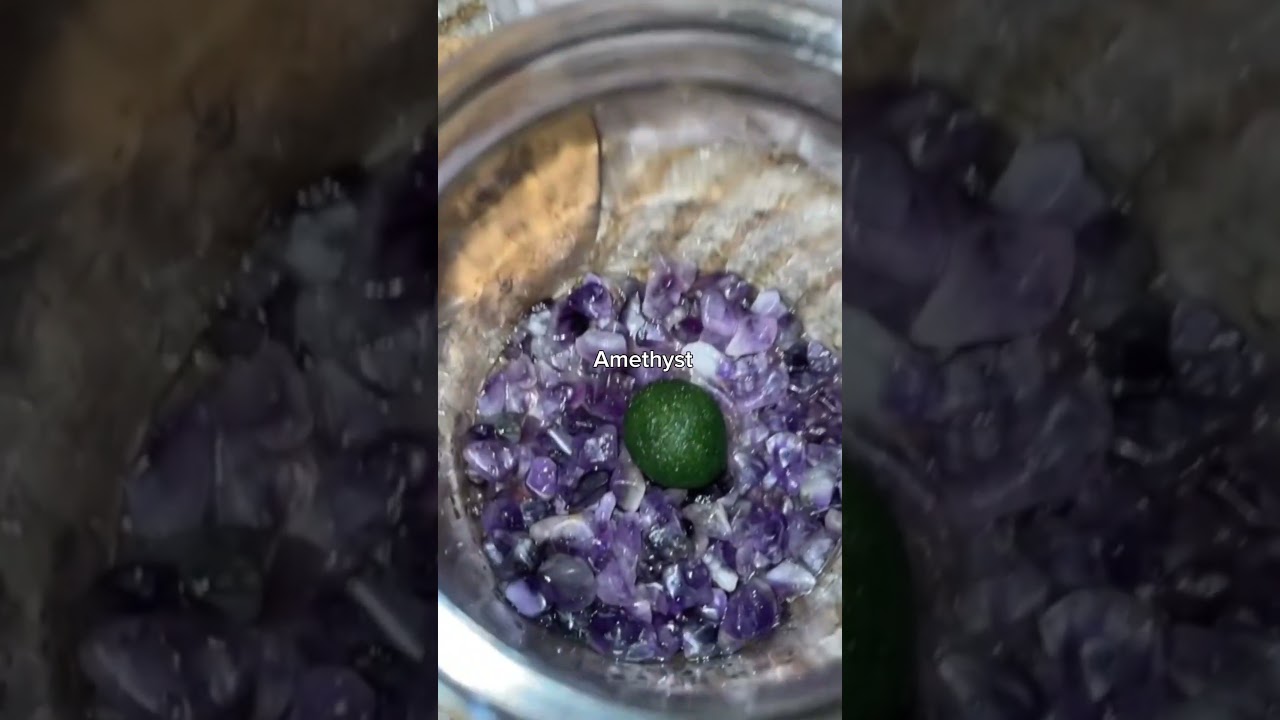 The only plant pet that can live for 200 years | Unboxing My Moss Pet  #mossballs #shorts