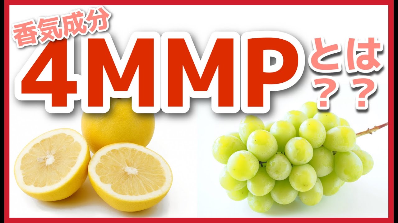 【日本酒の勉強】香気成分「4MMP」ってどんな香り？？