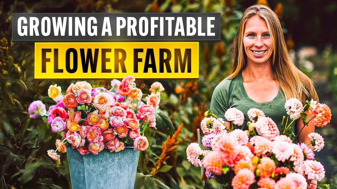 Selling Flowers = Serious Cash? Here's How She Did It | Jenny Marks