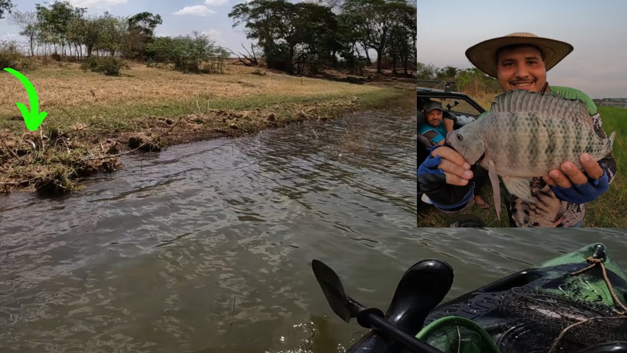 Pescaria de tilápia, até que isso aconteceu, essa é da brava, derrepente ela correu atrás…. #pesca