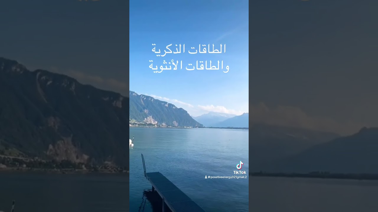 20 فبراير، 2026