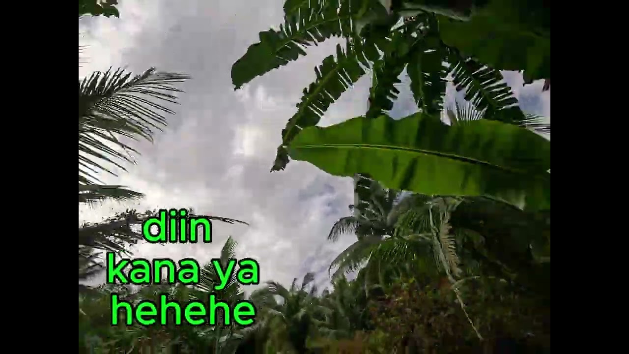 Pagbabalik ni Rambo