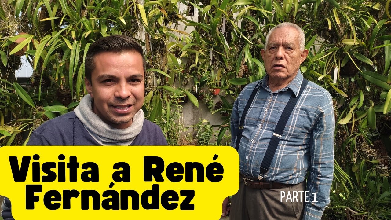 Visita a René Fernández (parte 1) #orquideas #catleya