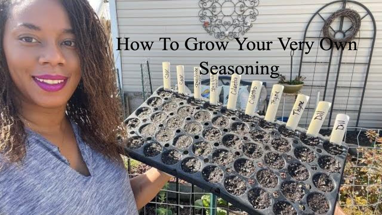 How To Grow Herbs From Seed Garden 2022