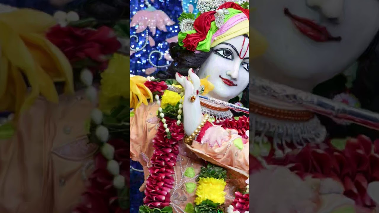 Krishna's beautiful Darshan keeps away depression. #radhanathswami
