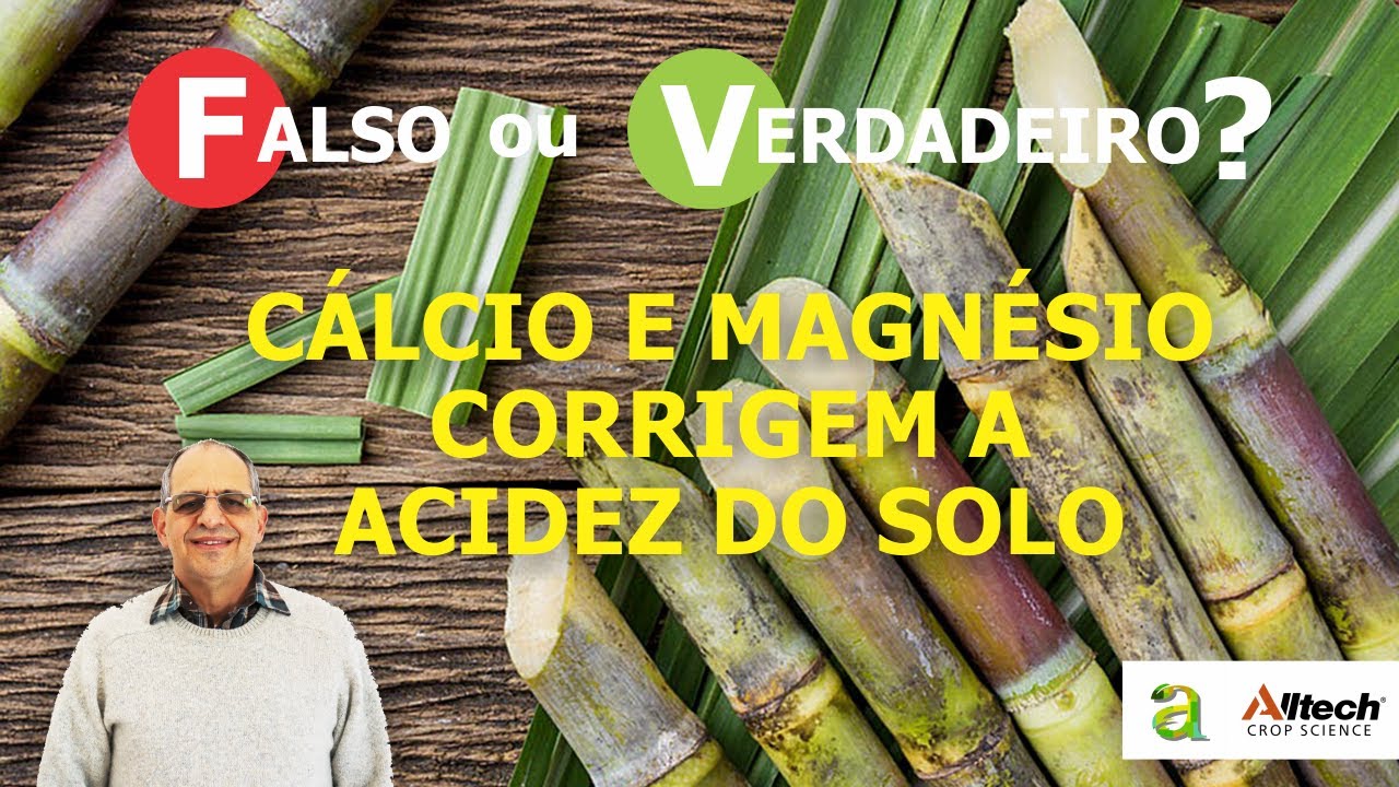 #80 - CÁLCIO E MAGNÉSIO CORRIGEM A ACIDEZ DO SOLO. FALSO OU VERDADEIRO?