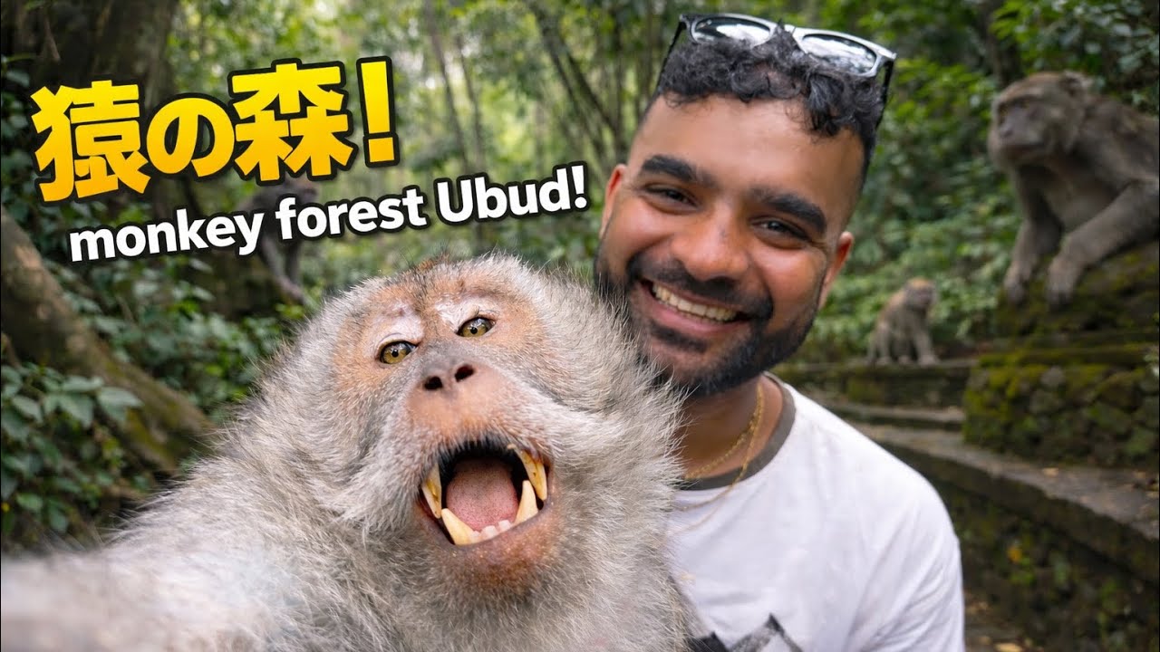 Visits A MONKEY FOREST in Ubud Bali 🇮🇩 【バリ島ウブド】モンキーフォレスト行ってきた