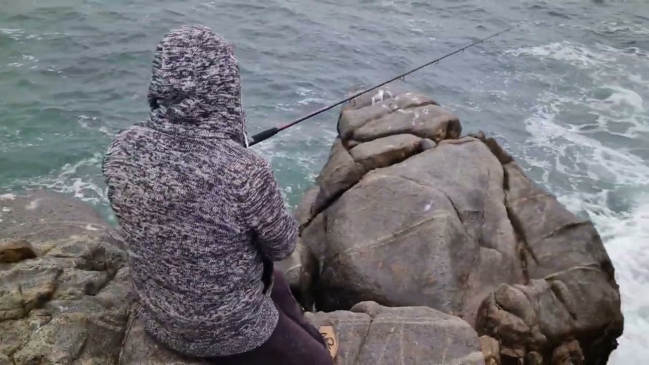 Pesca de Rollizo Gigante. Coquimbo Chile. 🎣