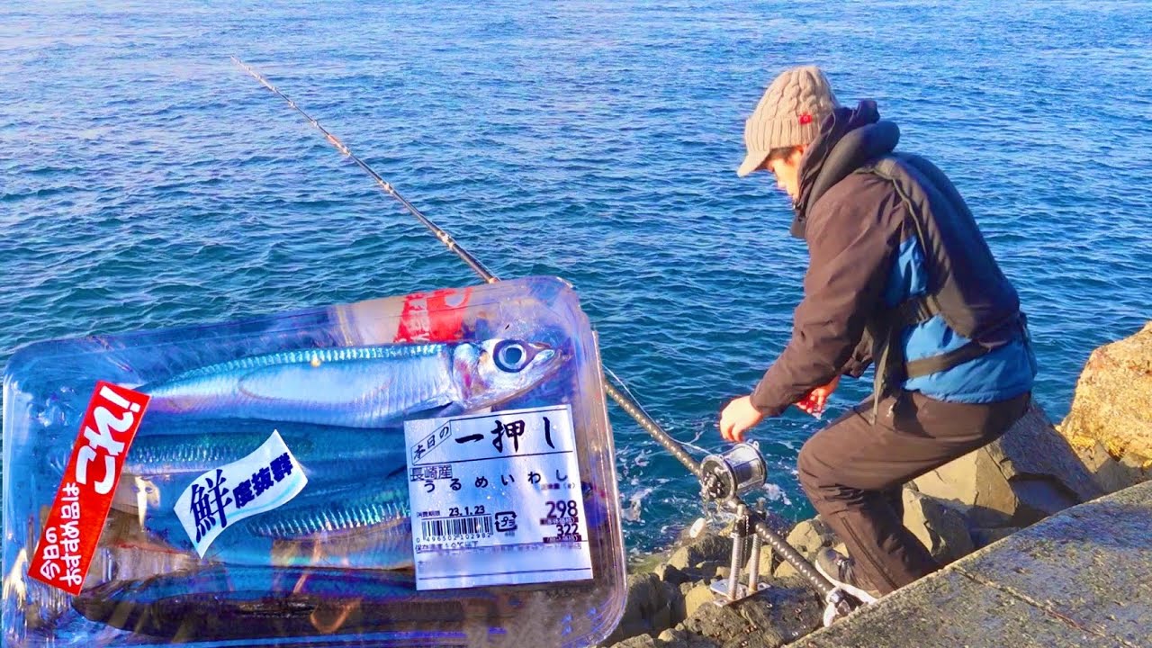 【イワシ10kg】最強の釣り餌「売れ残り」本気で幻のクエを狙う！！