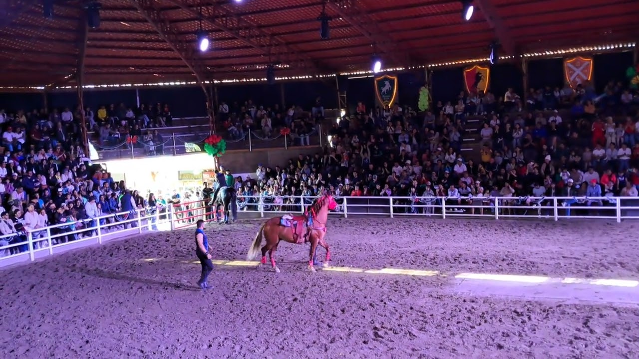 Ginetes Colombianos show animal park