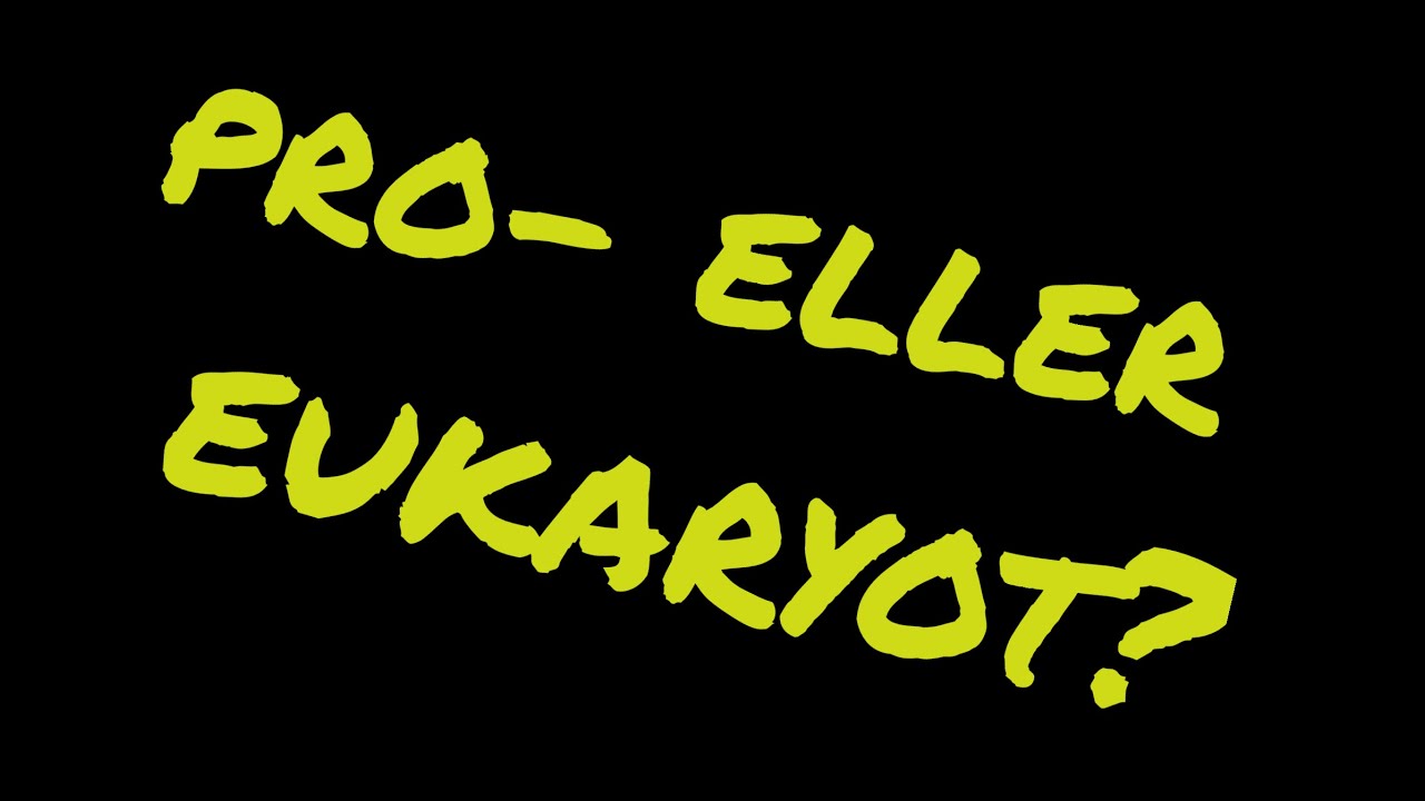 Pro- eller eukaryote celler? Forskelle og ligheder