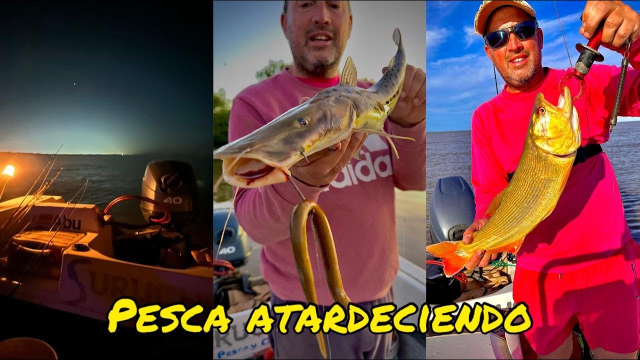 TV Nº716 21-11-2025 Pesca atardeciendo
