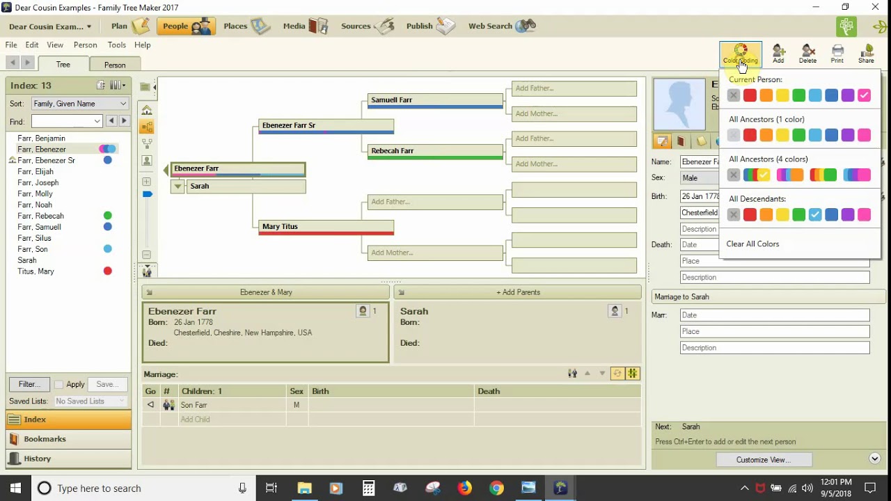 Family Tree Maker 2017: People Workspace Part 1: The Tree View Tab