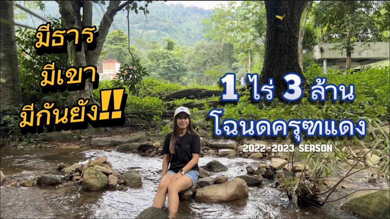 ด่วน!! ที่ดิน 1 ไร่ มีโฉนด 3 ล้าน ภูเขา น้ำตก มาครบ |แหม่มจ๋า ขายที่ดินนครนายก