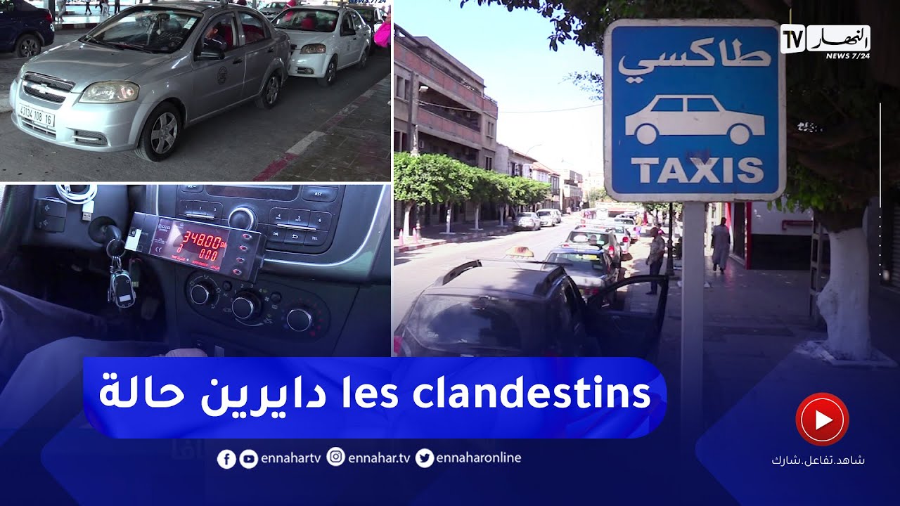 مشاكل وفوضى سيارات الأجرة.. أصحاب المجال يتبرؤون